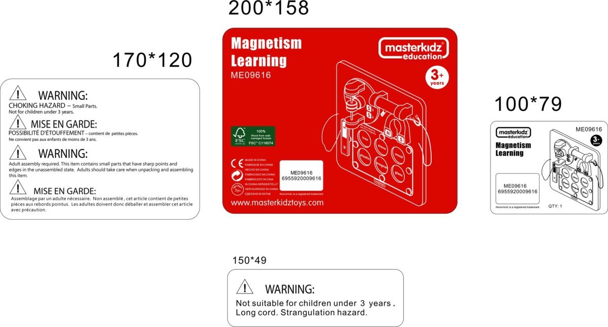 Edukacinė sieninė lenta magnetizmo tyrinėjimui – Paveikslėlis 9