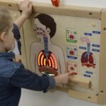 Edukacinė žmogaus kvėpavimo sistemos lenta