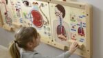Edukacinė žmogaus kvėpavimo sistemos lenta