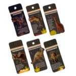 Edukacinis dinozaurų tyrinėjimo lagaminas – Paveikslėlis 5