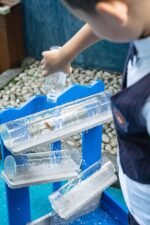 Edukacinis vandens takelių rinkinys – Paveikslėlis 4
