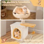 Kompaktiška kačių draskyklė su žuvies formos platforma (Smėlio)