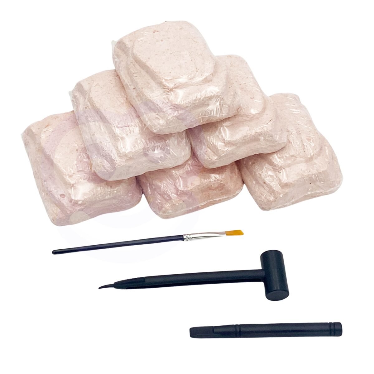 Mamuto skeleto kasinėjimo rinkinys – Paveikslėlis 2