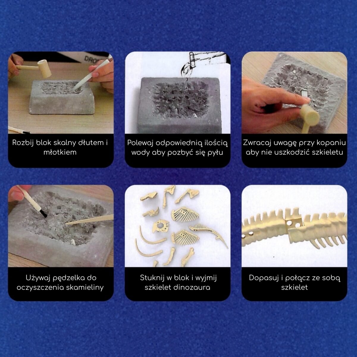 Mamuto skeleto kasinėjimo rinkinys – Paveikslėlis 6