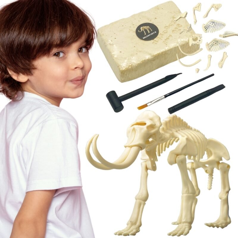 Mamuto skeleto kasinėjimo rinkinys