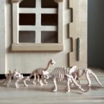 Mažojo archeologo kasinėjimo rinkinys su 6 dinozaurų skeletais