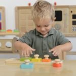 Medinė Montessori spalvų ir dydžių dėlionė su rankenėlėmis
