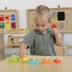 Medinė Montessori spalvų ir dydžių dėlionė su rankenėlėmis