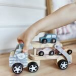 Medinis autovežis su automobiliais – Paveikslėlis 5