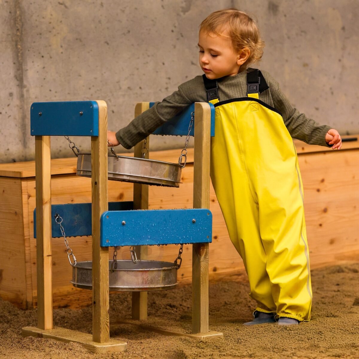 Medinis dvigubas smėlio sietelis – Paveikslėlis 2