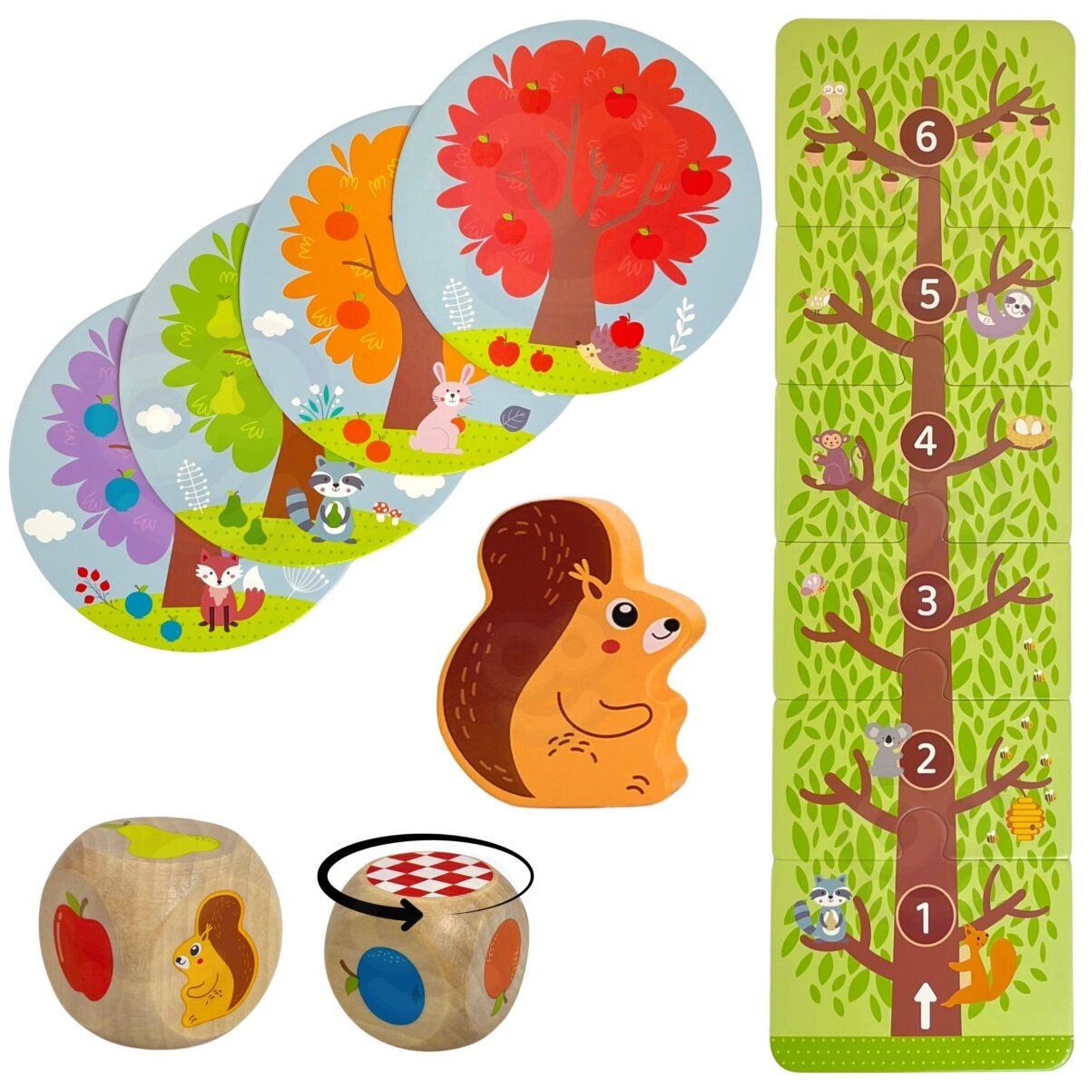 Medinis kooperacinis stalo žaidimas sode su voveraite – Paveikslėlis 11