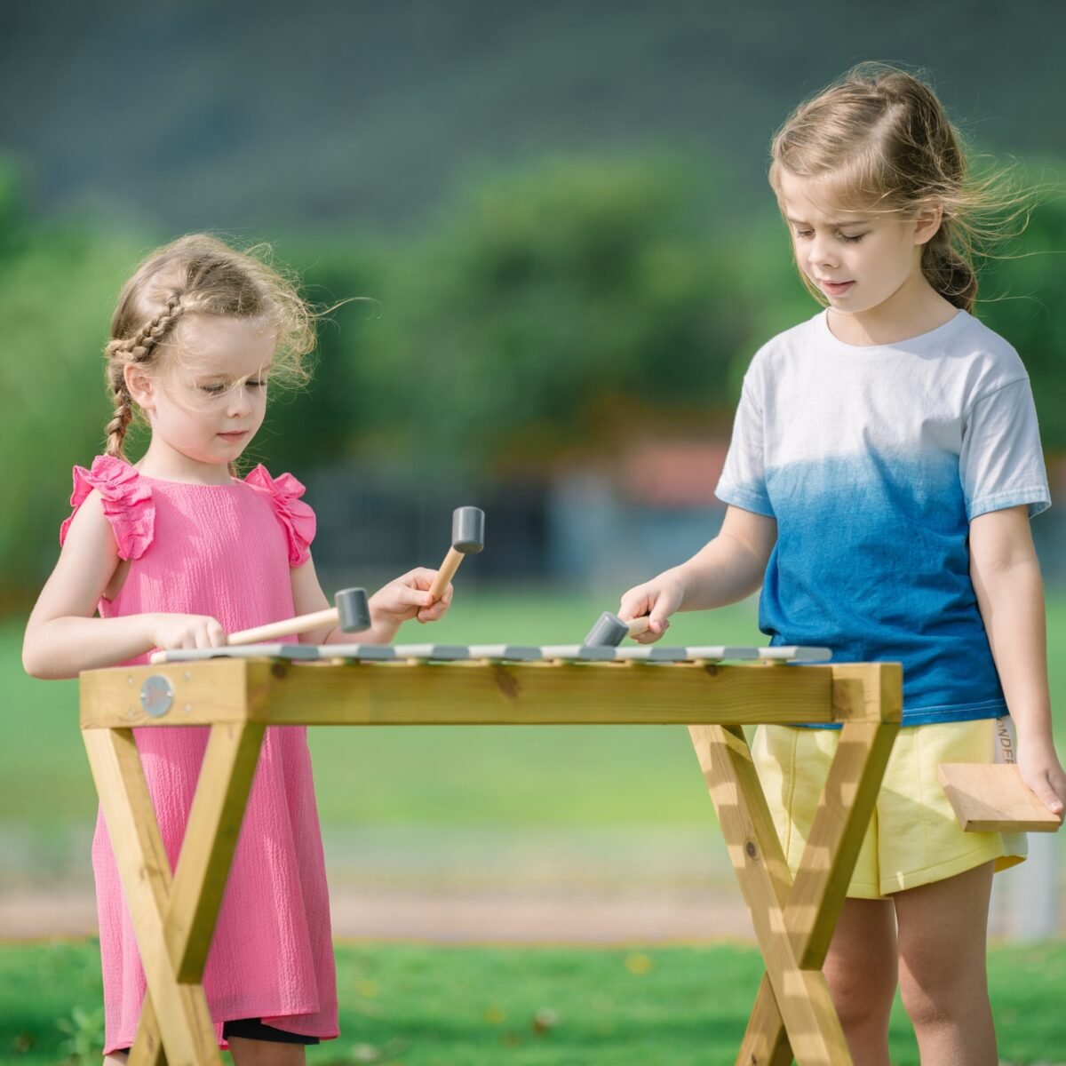 Medinis lauko metalofonas su lazdelėmis – Paveikslėlis 8