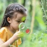 Medinis mikroskopas-lupa 2in1 gamtos tyrinėjimui vaikams – Paveikslėlis 2