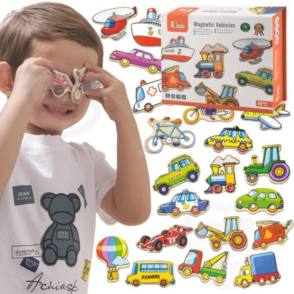 Medinių transporto priemonių magnetų rinkinys