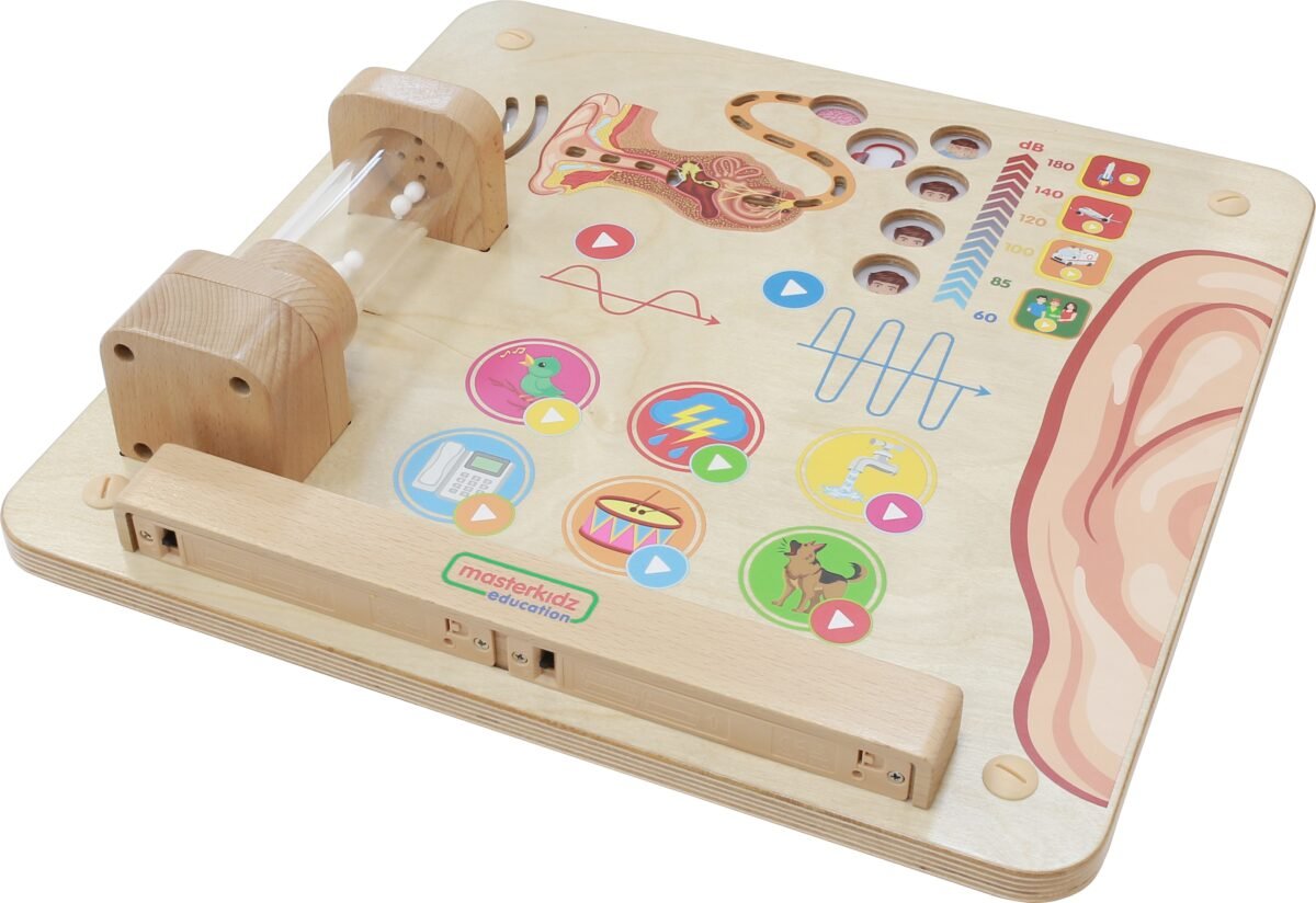 Montessori edukacinė lenta garsų pažinimui – Paveikslėlis 4