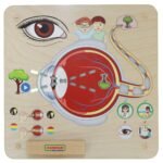 Montessori edukacinė lenta regos lavinimui