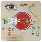 Montessori edukacinė lenta regos lavinimui