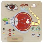 Montessori edukacinė lenta regos lavinimui