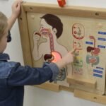 Montessori edukacine lenta virskinimo sistemos pazinimui su sviecianciais elementais 1