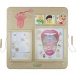 Montessori skonių pažinimo lentelė