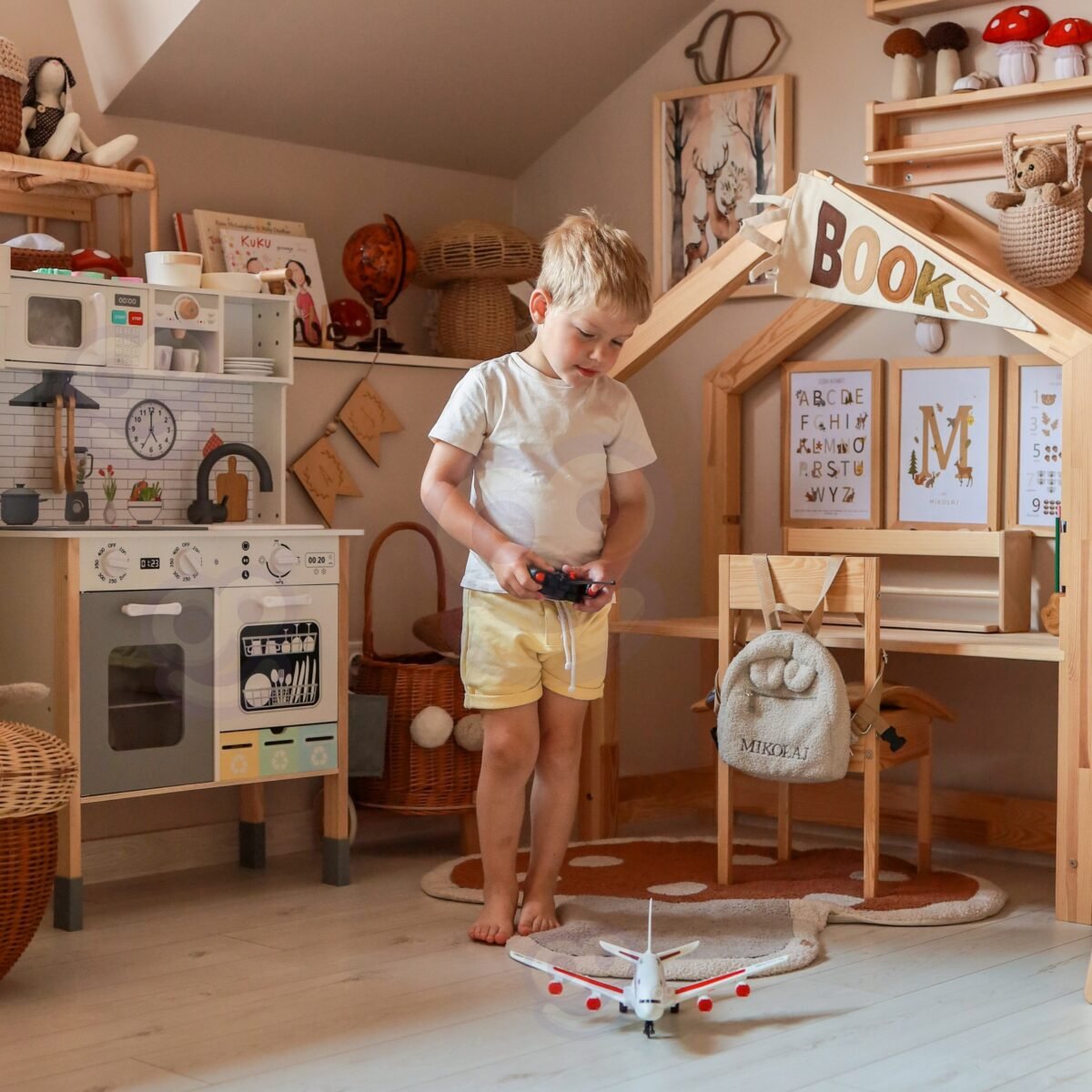 Nuotoliniu būdu valdomas keleivinis lėktuvas – Paveikslėlis 3