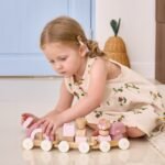 Medinis traukinukas su vagonėliais ir kaladėlėmis – Paveikslėlis 4