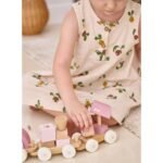 Medinis traukinukas su vagonėliais ir kaladėlėmis – Paveikslėlis 5