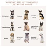 Daugiafunkcis šunų boksas su pakeltu pagrindu – Paveikslėlis 4