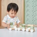 Medinis traukinukas konstruktorius su vagonėliais ir kaladėlėmis – Paveikslėlis 6