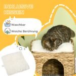 Dviaukštis katės vandens hiacinto namelis