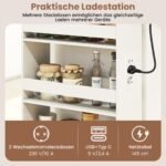 Plonas laikymo vežimėlis su įkrovimo stotele (Kaimiška ruda) – Paveikslėlis 5