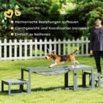 3 dalių eglės medienos šunų vikrumo rinkinys – Paveikslėlis 6