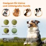 Automatinis kamuoliukų metiklis mažiems ir vidutiniams šunims, 3 atstumai ir 3 kamuoliukai