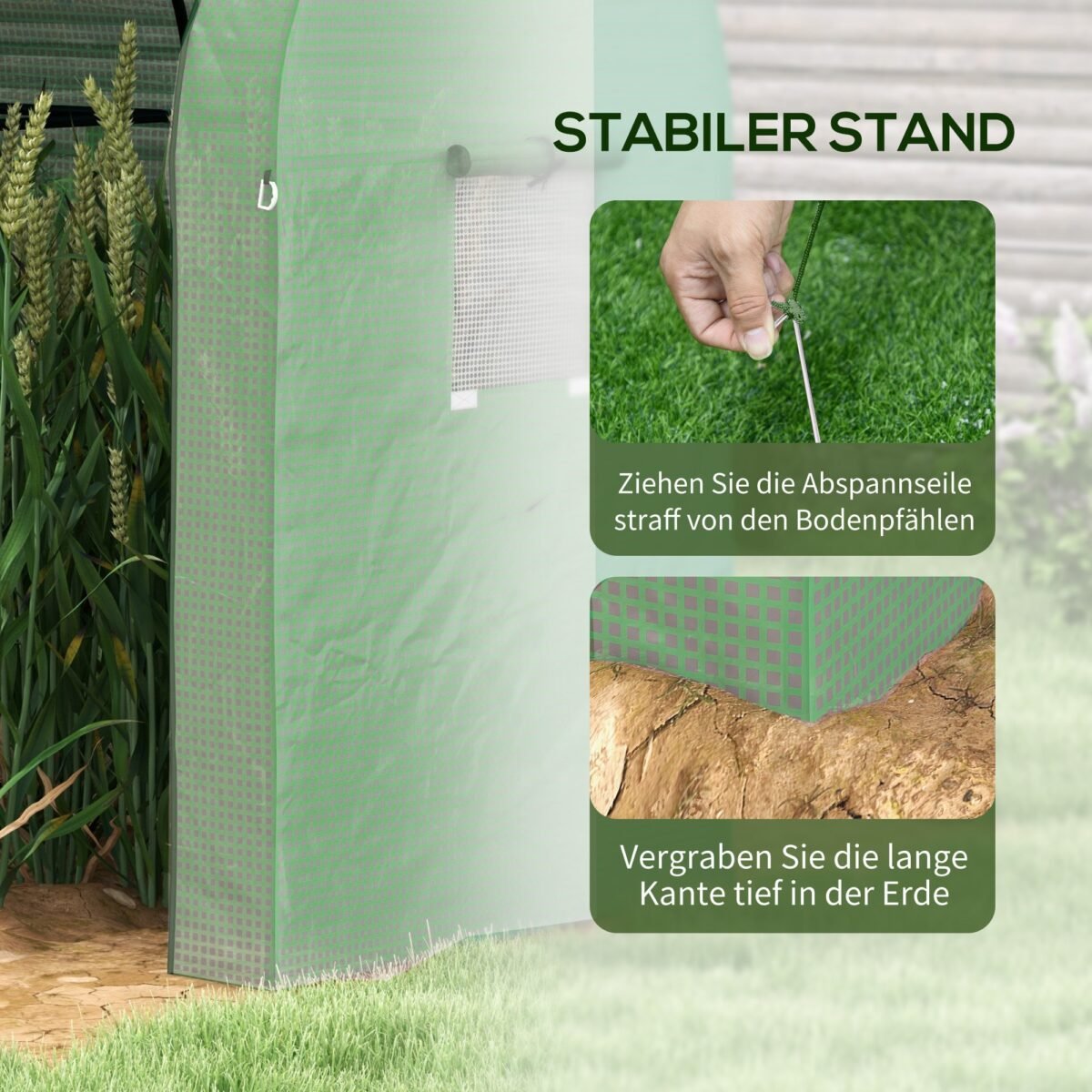 Dviejų zonų šiltnamis su susukamomis durimis – Paveikslėlis 7