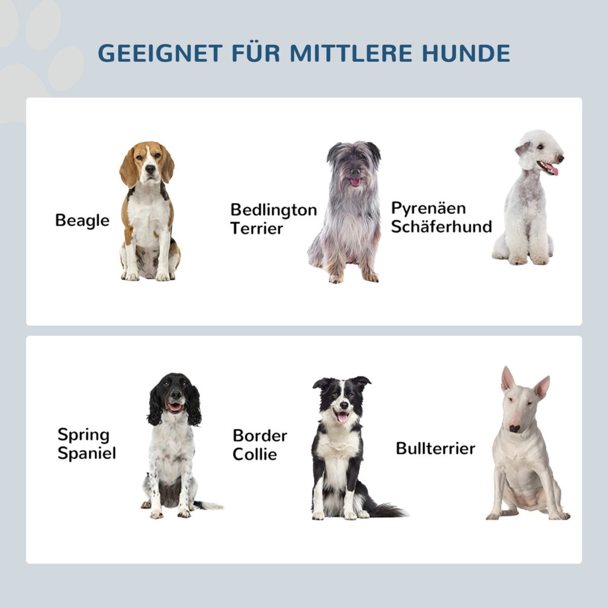 Pakeltas šunų ėdalo stovas su dviem nerūdijančio plieno dubenėliais – Paveikslėlis 6