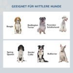 Pakeltas šunų ėdalo stovas su dviem nerūdijančio plieno dubenėliais – Paveikslėlis 6