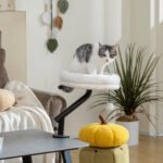 Prie stalo tvirtinamas kačių gultas su 360° pasukimu ir reguliuojamu aukščiu – Paveikslėlis 2