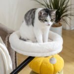 Prie stalo tvirtinamas kačių gultas su 360° pasukimu ir reguliuojamu aukščiu – Paveikslėlis 8