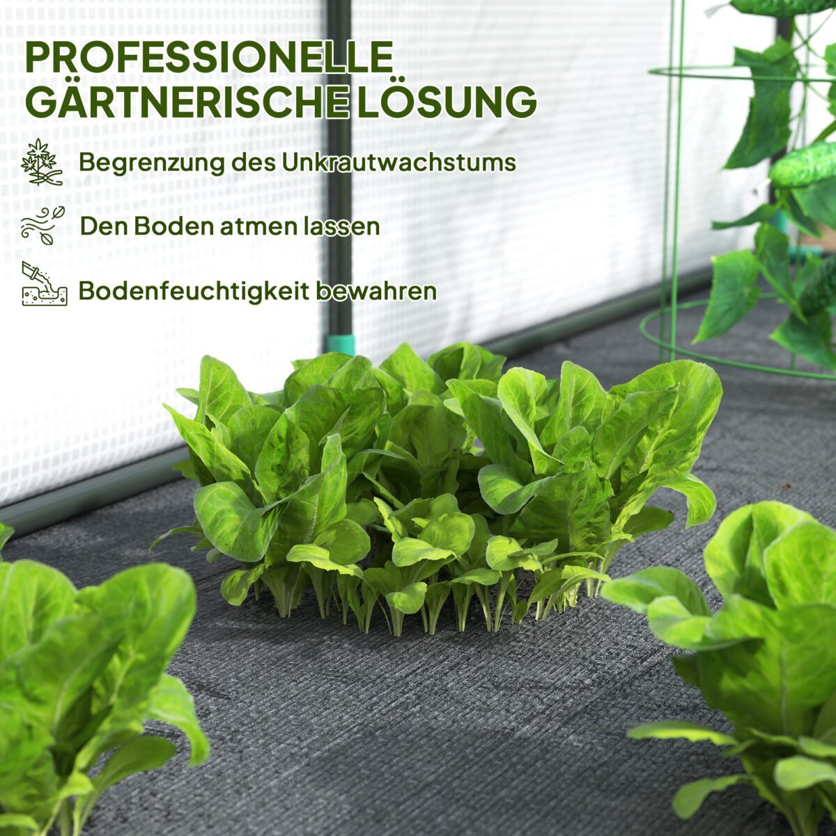 Pristatomas šiltnamis su atlenkiama priekine sienele – Paveikslėlis 4