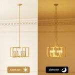 Reguliuojamo aukščio 6 šviesos šaltinių pakabinamas šviestuvas (Auksinė) – Paveikslėlis 5