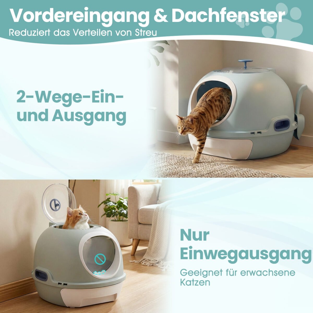 Uždara kačių kraiko dėžė su ištraukiamu dėklu ir dviem Įėjimais (Mėlyna) – Paveikslėlis 4