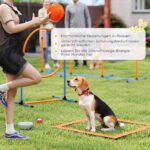 11 dalių šunų agility rinkinys su reguliuojamo aukščio kliūtimis – Paveikslėlis 7
