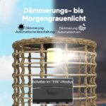 Boho stiliaus rataniniai pastatomi lauko šviestuvai su saulės baterijomis ir šviesos jutikliu 2 dalių rinkinys – Paveikslėlis 6