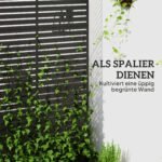 Dekoratyvinė plieninė lauko pertvara su lamelėmis ir atrama augalams – Paveikslėlis 4