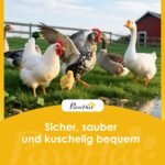 Medinė dviaukštė vištidė su aptvaru ir lizdaviete – Paveikslėlis 9