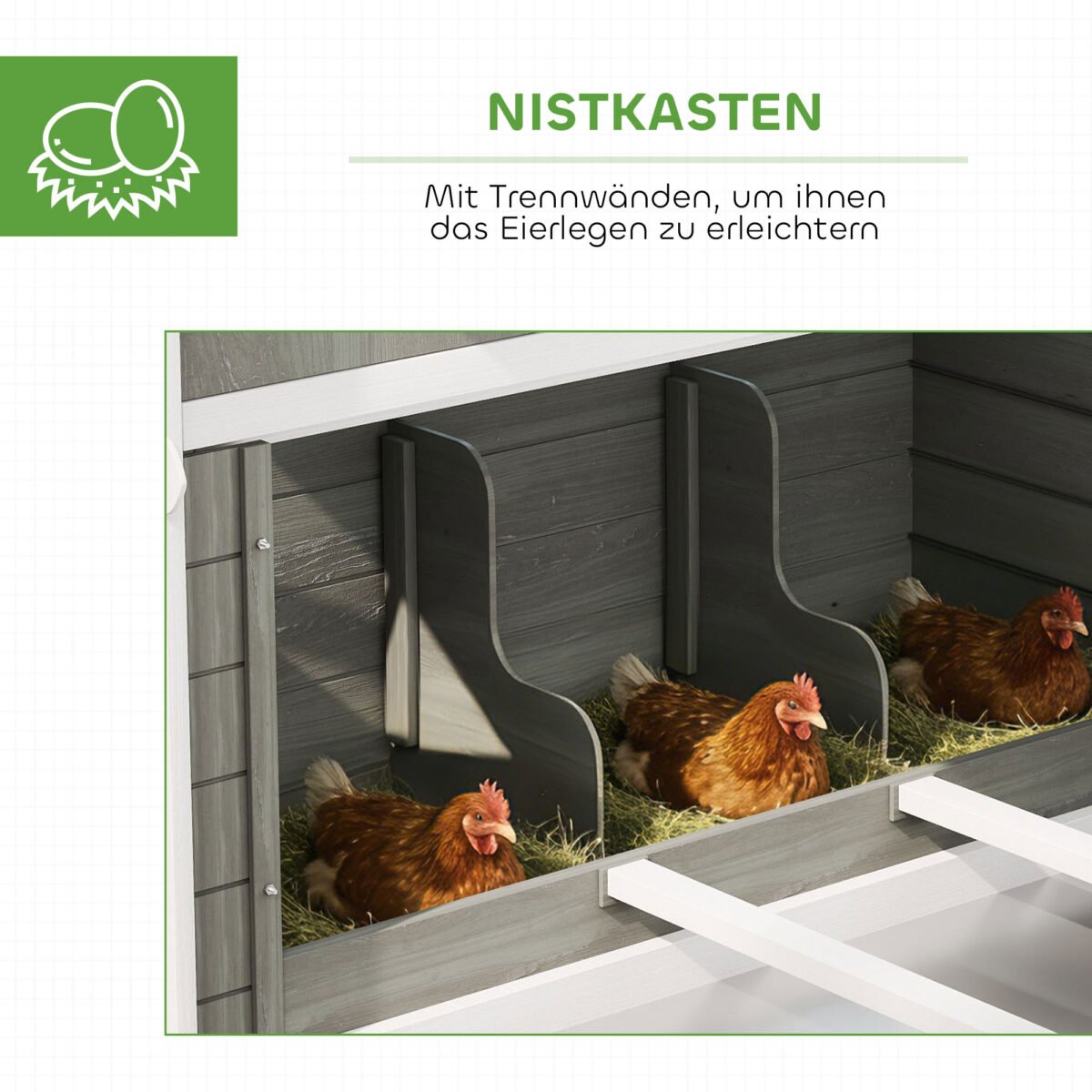 Medinė vištidė su voljeru, lizdaviete ir ištraukiamu padėklu, 8-10 vištų – Paveikslėlis 6