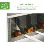 Medinė vištidė su voljeru, lizdaviete ir ištraukiamu padėklu, 8-10 vištų – Paveikslėlis 6