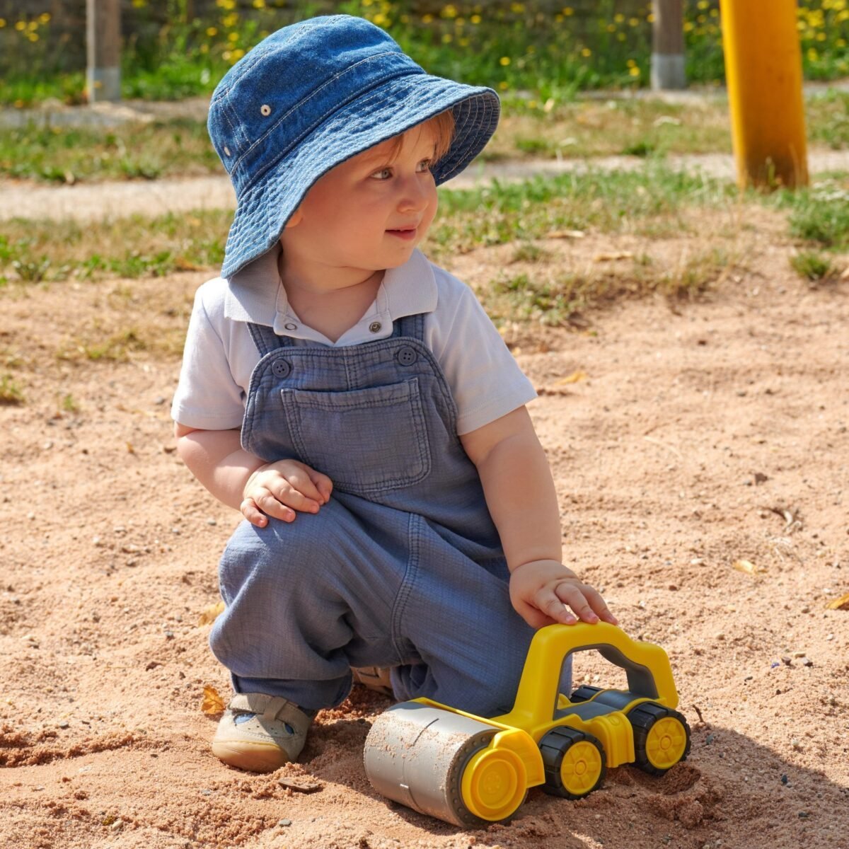 Minkštapadangis volas – Paveikslėlis 3