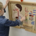 Montessori edukacinė lenta virškinimo sistemos pažinimui su šviečiančiais elementais