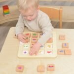 Montessori medinė formų derinimo dėlionė su paveikslėliais